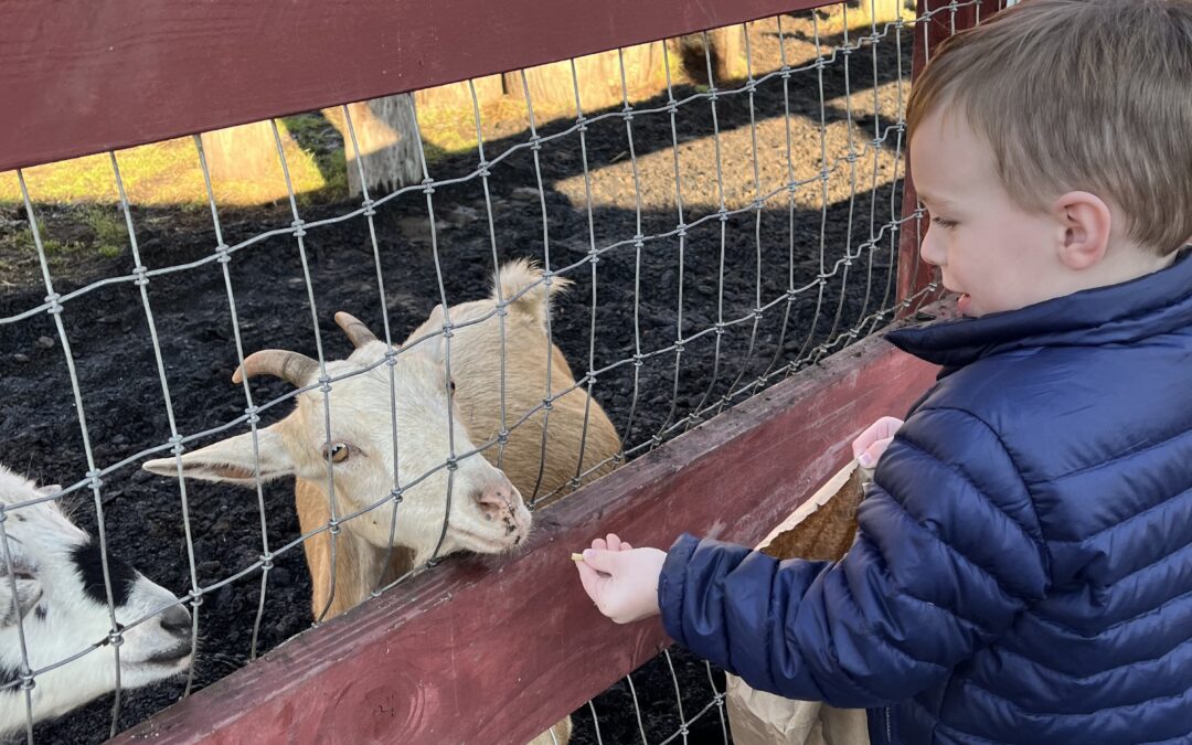 Stamford Moms Holiday Break Bucket List!